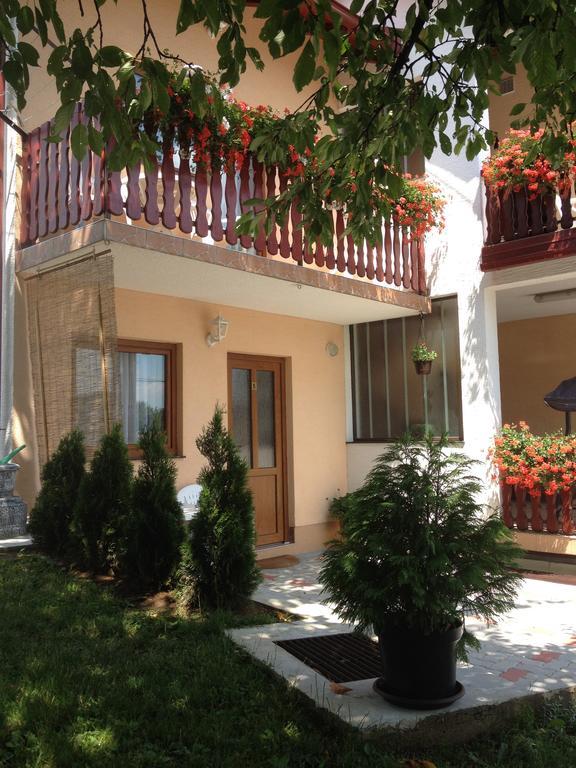 Guesthouse Ante Hodak Selište Drežničko Exterior foto
