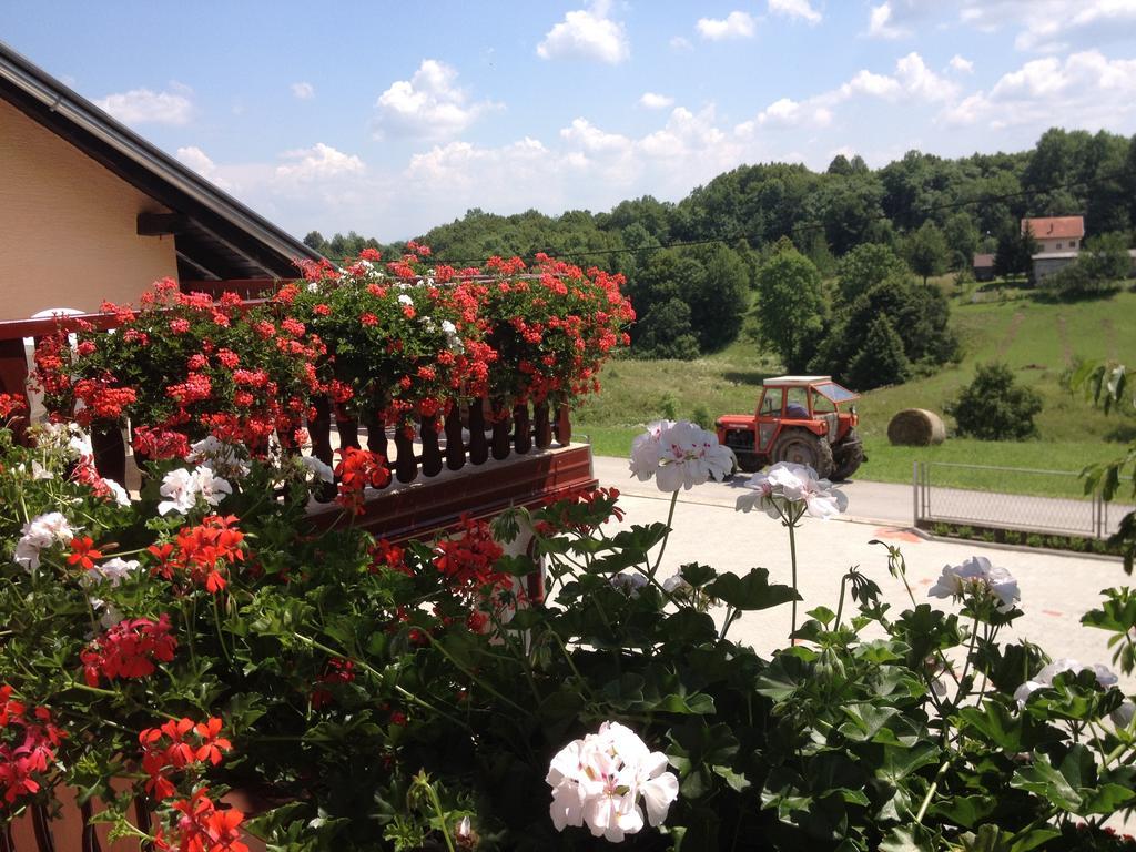 Guesthouse Ante Hodak Selište Drežničko Habitación foto
