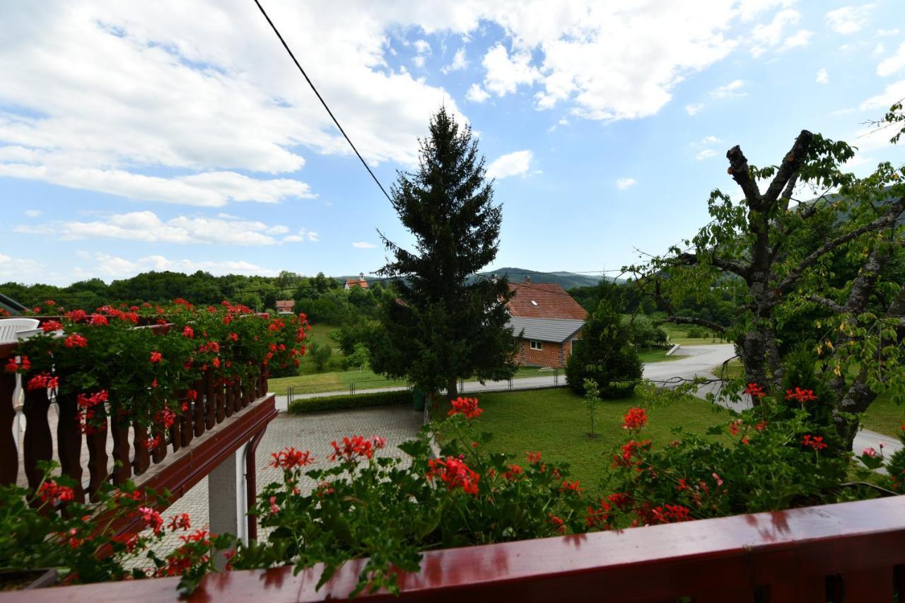 Guesthouse Ante Hodak Selište Drežničko Exterior foto